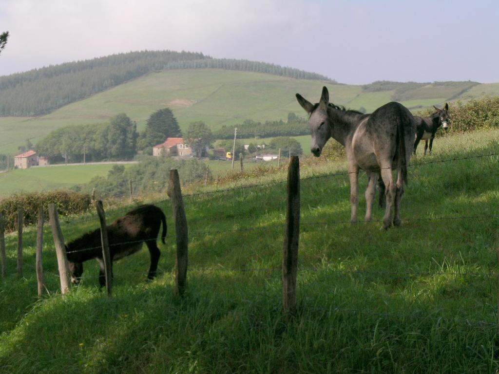 Agroturismo Kasa Barri Bermeo Exterior foto